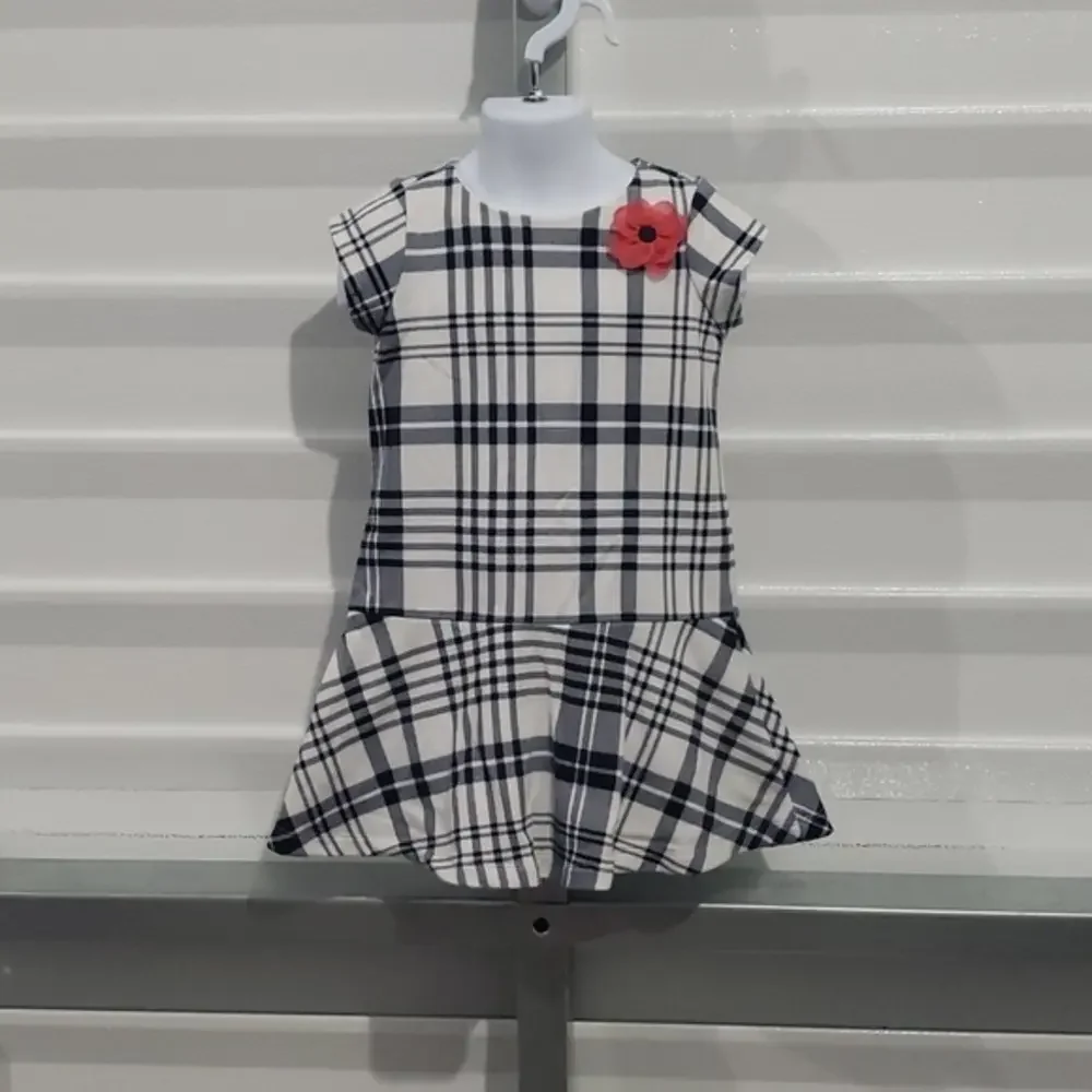 Girls dress size 4 Gymboree‎ brand